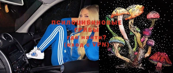 ПСИЛОЦИБИНОВЫЕ ГРИБЫ Балахна