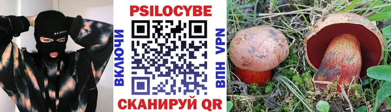 купить наркотик  Тайшет  Галлюциногенные грибы Cubensis 