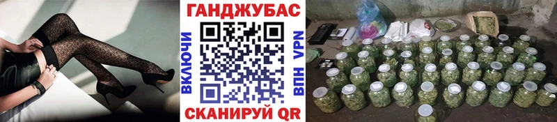 Шишки марихуана план  где можно купить наркотик  Тайшет 